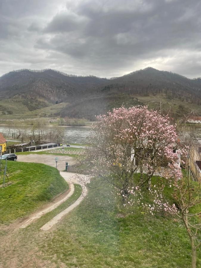 Top Ferienhaus Bei Spitz / Wachau Schwallenbach Εξωτερικό φωτογραφία